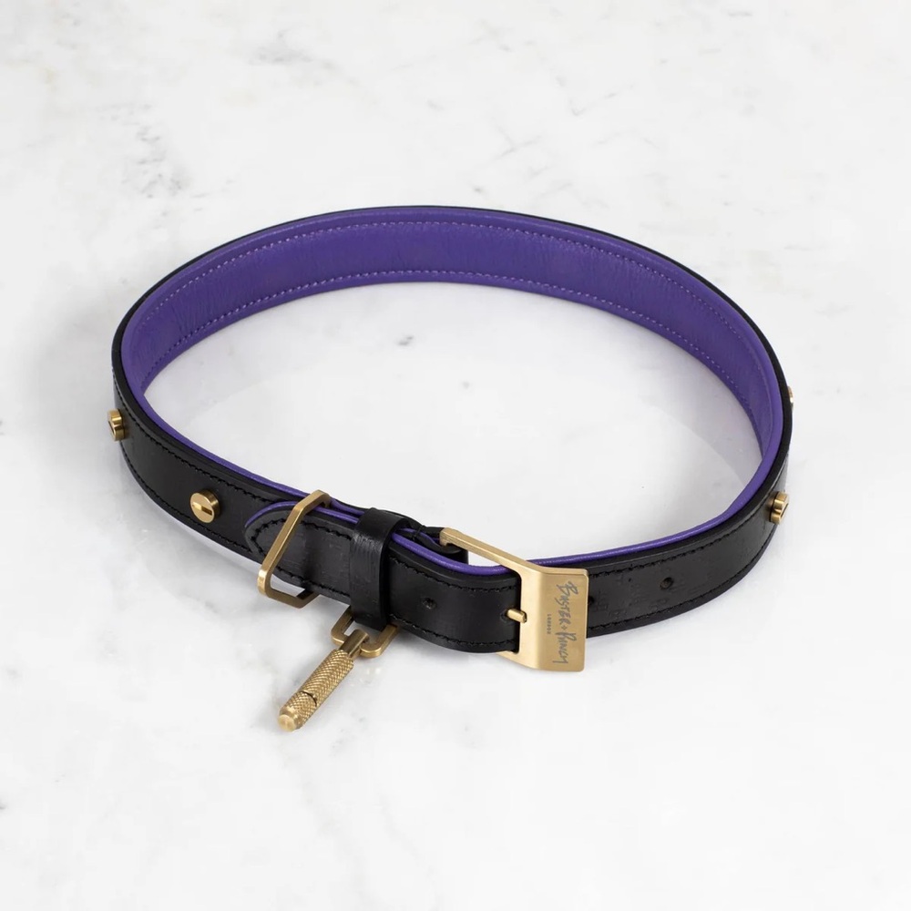 Luxurious Black and Purple Dog Collar with Gold Accents